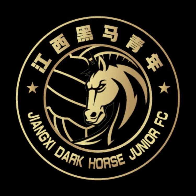 官方：江西黑馬青年完成異地遷移程序，更名為溫州職業(yè)足球俱樂部